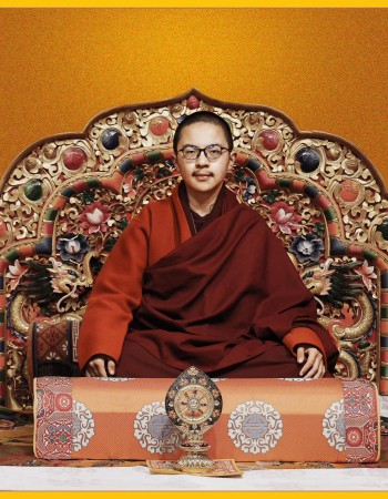 Portrait of Mingyur Dechen Garwang Zilnon Dorji Rinpoche